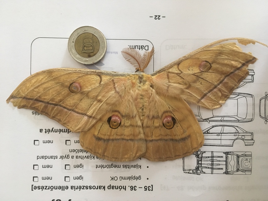 hogyan lehet ellenőrizni a találatot